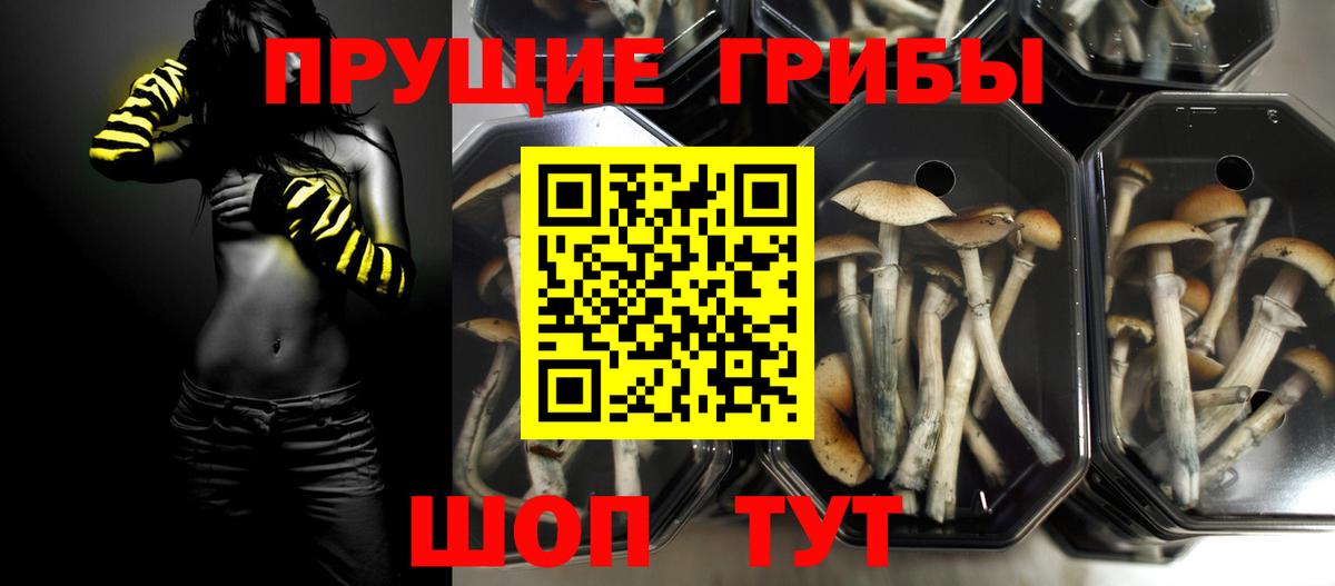 Челябинск  Галлюциногенные грибы GOLDEN TEACHER  Вход с VPN 