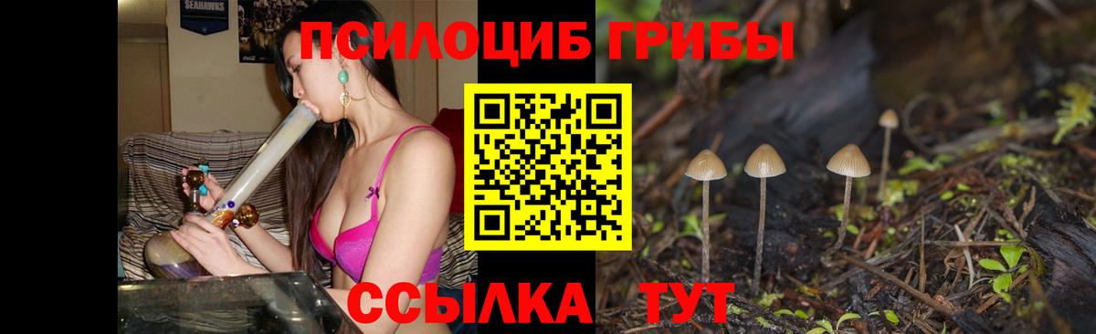 Галлюциногенные грибы Psilocybe Челябинск